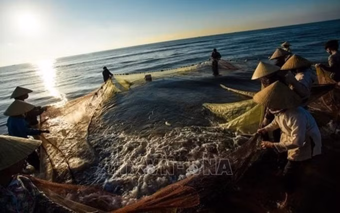 Actividades de pesca en Quang Xuong, Thanh Hoa. (Fotografía: VNA)