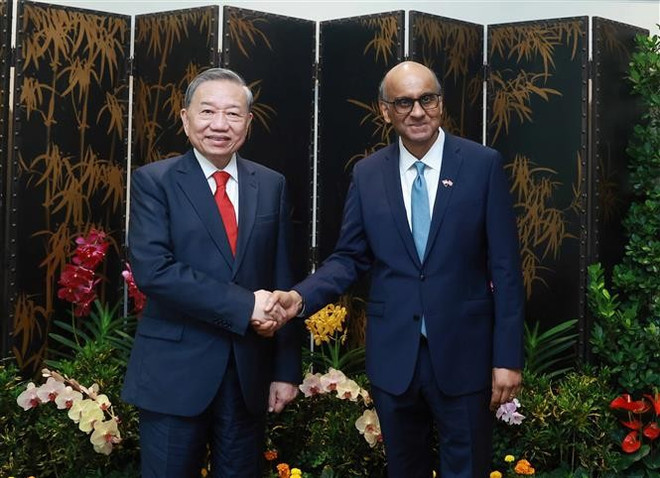 El secretario general del Partido Comunista de Vietnam, To Lam (izquierda), y el presidente de Singapur, Tharman Shanmugaratnam. (Foto: VNA)