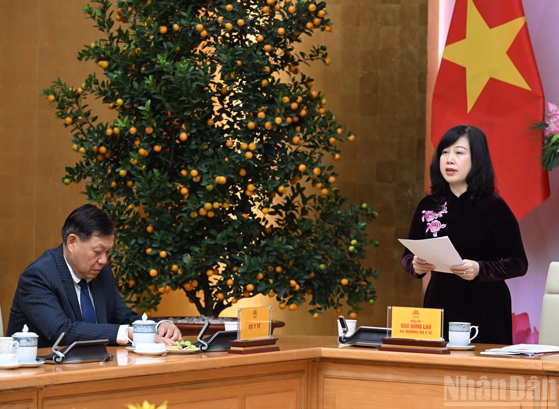 La ministra de Salud, Dao Hong Lan, habla en la cita.