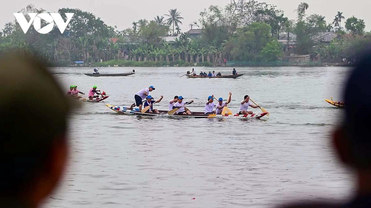 En la superficie del río, los remos golpean el agua con perfecta sincronía; en la orilla, las banderas ondean entre la multitud animando. Todo crea una escena vibrante y profundamente representativa de los festivales rurales ribereños de Hue en los primeros días de primavera.