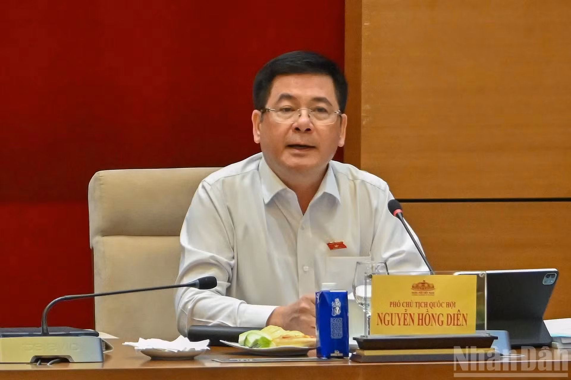 El vicepresidente de la ANV, Nguyen Hong Dien, dirige la sesión de debate.