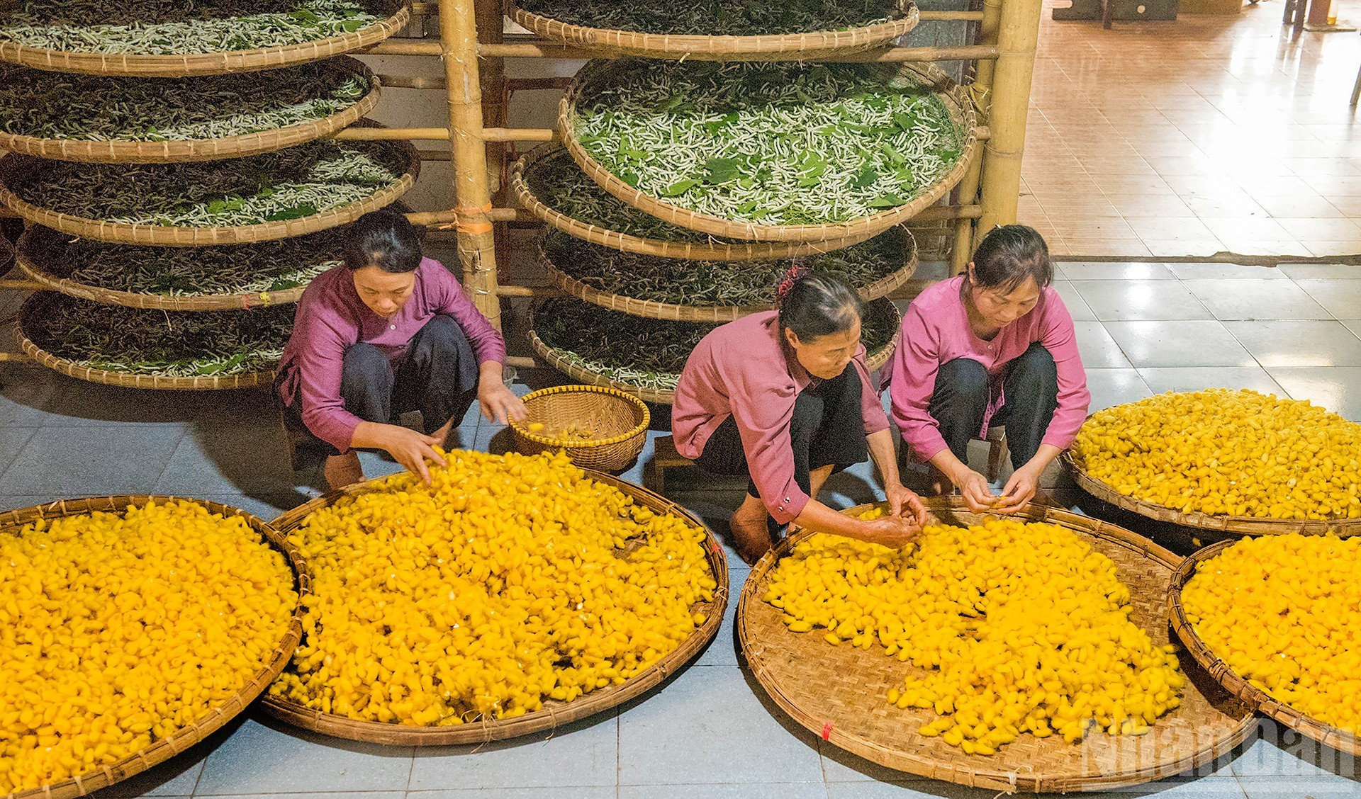 Thi Thuan y su comunidad se esfuerzan por preservar el oficio tradicional. Thi Thuan y su comunidad se esfuerzan por preservar el oficio tradicional.