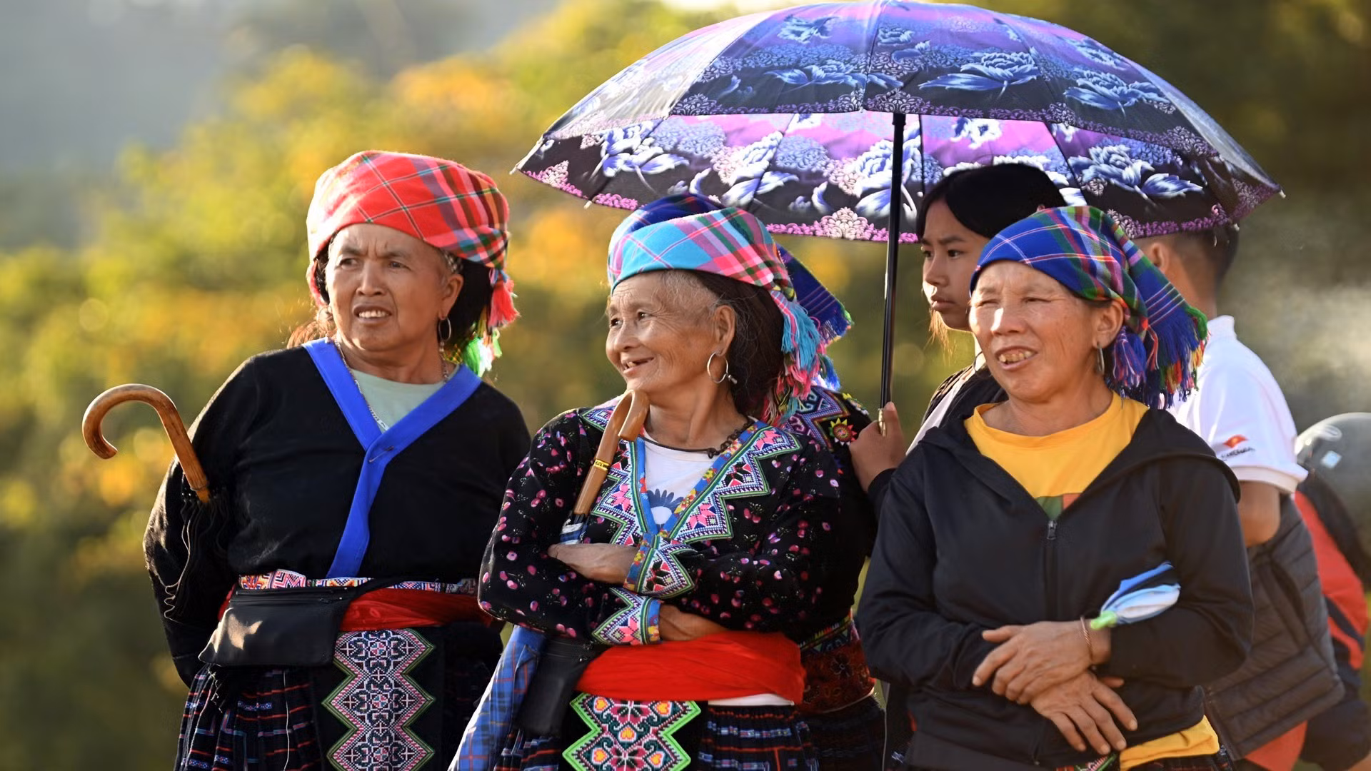 La alegría en los rostros de los espectadores.