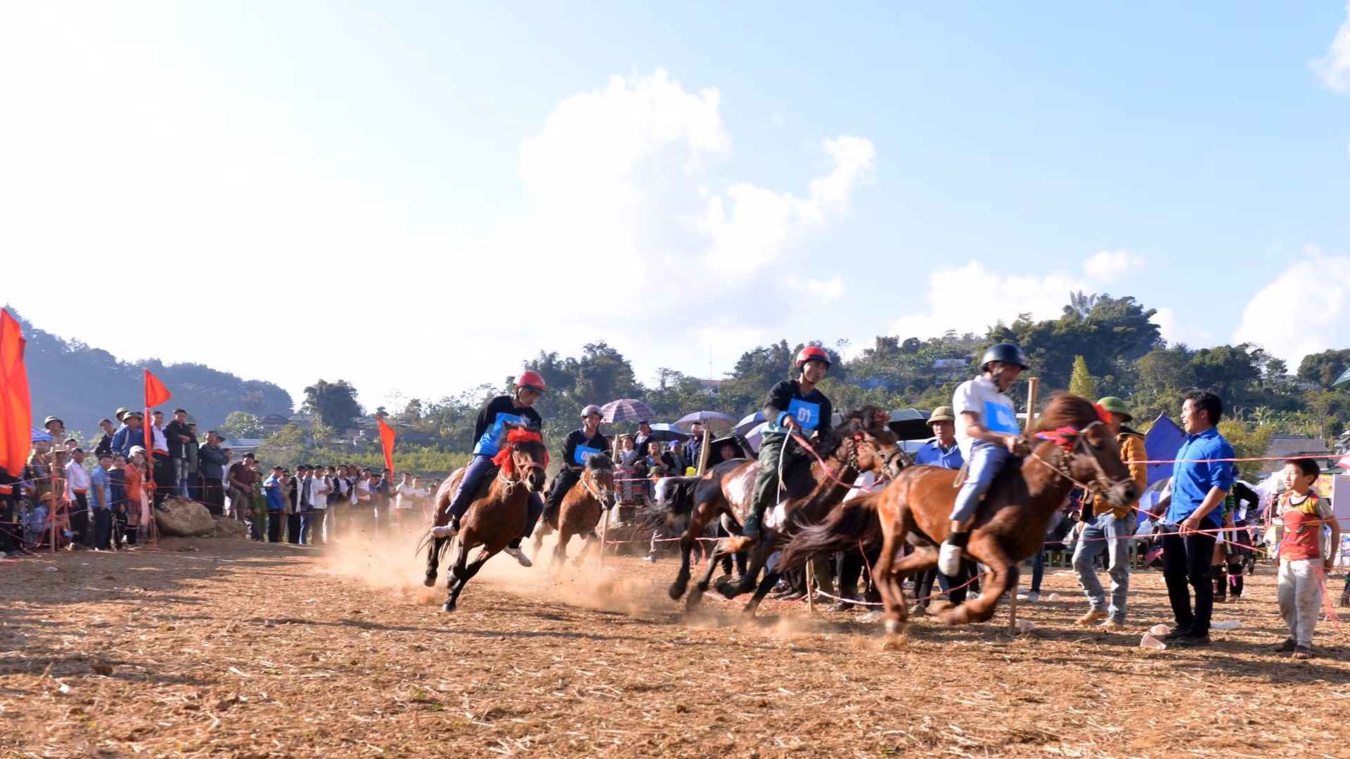 Los caballos al galope.