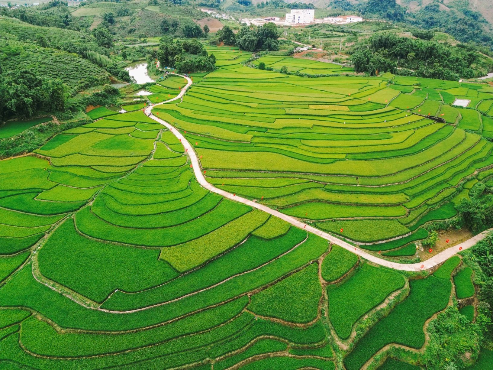 A unos 21 kilómetros del centro de Moc Chau se encuentran las terrazas de arroz de Suoi Lin, un destino popular entre los jóvenes que viajan a Son La para disfrutar de la temporada del arroz, gracias a su fácil acceso en moto o coche. A unos 21 kilómetros del centro de Moc Chau se encuentran las terrazas de arroz de Suoi Lin, un destino popular entre los jóvenes que viajan a Son La para disfrutar de la temporada del arroz, gracias a su fácil acceso en moto o coche.
