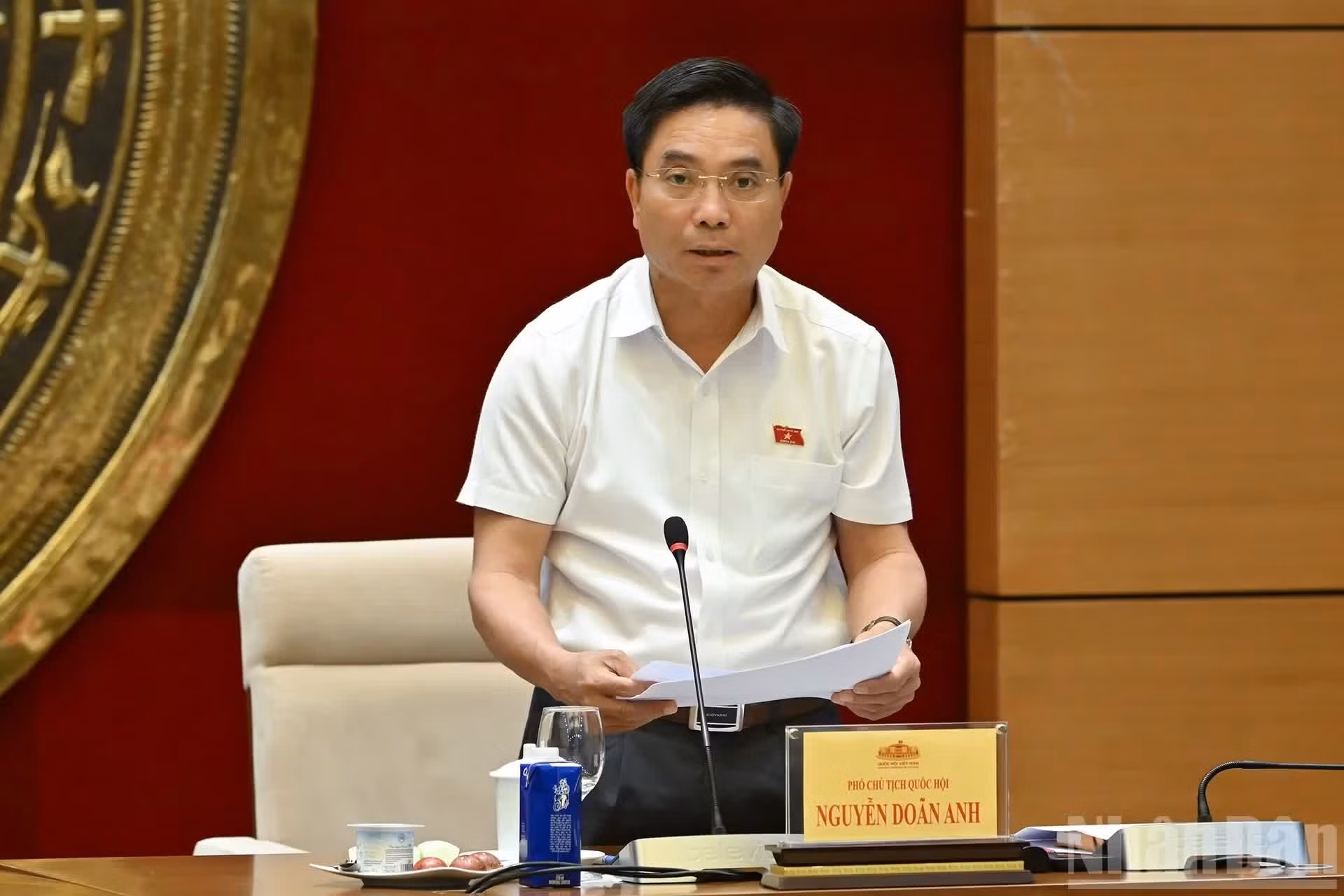 El subtitular de la ANV, Nguyen Doan Anh, habla en la reunión.