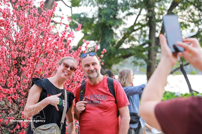 Los vibrantes colores primaverales en la zona alrededor del Lago Hoan Kiem atraen la atención de los visitantes. Foto: VNA