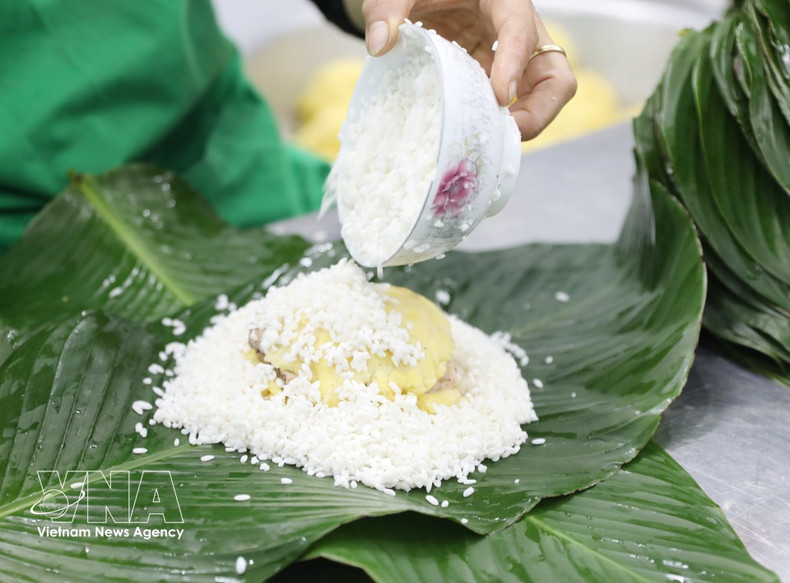 El Banh Chung es un plato tradicional vietnamita, elaborado con ingredientes principales como arroz glutinoso (generalmente arroz glutinoso de flores amarillas), frijol mungo pelado, carne de cerdo (tocino o paleta con suficiente grasa) y condimentos como pimienta, sal y cebolla seca. (Foto: VNA)