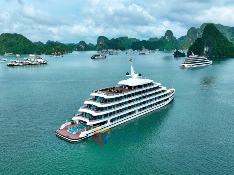 Los cruceros aportan vitalidad y atractivo al paisaje natural de la bahía. Los cruceros aportan vitalidad y atractivo al paisaje natural de la bahía.
