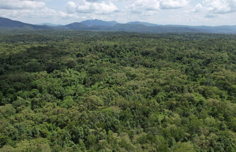 La Reserva Natural de Ea So abarca una superficie de 26 mil 848 hectáreas. (Foto: CCD/VNA) La Reserva Natural de Ea So abarca una superficie de 26 mil 848 hectáreas. (Foto: CCD/VNA)