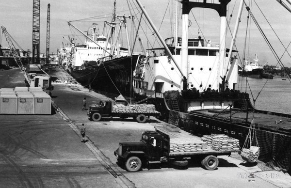 El 5 de abril de 1988, el Buró Político del Comité Central del PCV emite la Resolución 10/NQ-TW sobre la reforma de la gestión económica agrícola. En la foto: Carga y descarga de arroz de exportación en el puerto de Saigón. Foto: VNA