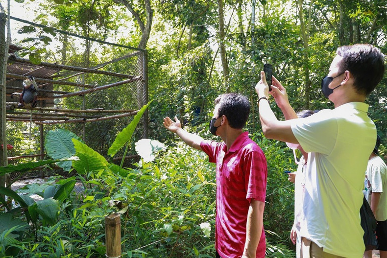 El centro está abierto al público mediante visitas guiadas, con el objetivo de educar y sensibilizar tanto a visitantes como a comunidades locales sobre el valor de los primates y la importancia de conservar la biodiversidad. El centro está abierto al público mediante visitas guiadas, con el objetivo de educar y sensibilizar tanto a visitantes como a comunidades locales sobre el valor de los primates y la importancia de conservar la biodiversidad.