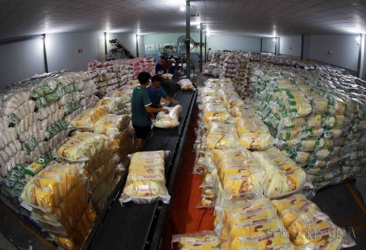 Vietnam exporta a Lituania arroz, mariscos, verduras, té, pimienta, anacardos, madera y productos derivados, caucho, etc. En la foto: Arroz exportado por la Compañía de alimentos Thoai Son (Grupo Loc Troi). (Foto: VNA) Vietnam exporta a Lituania arroz, mariscos, verduras, té, pimienta, anacardos, madera y productos derivados, caucho, etc. En la foto: Arroz exportado por la Compañía de alimentos Thoai Son (Grupo Loc Troi). (Foto: VNA)
