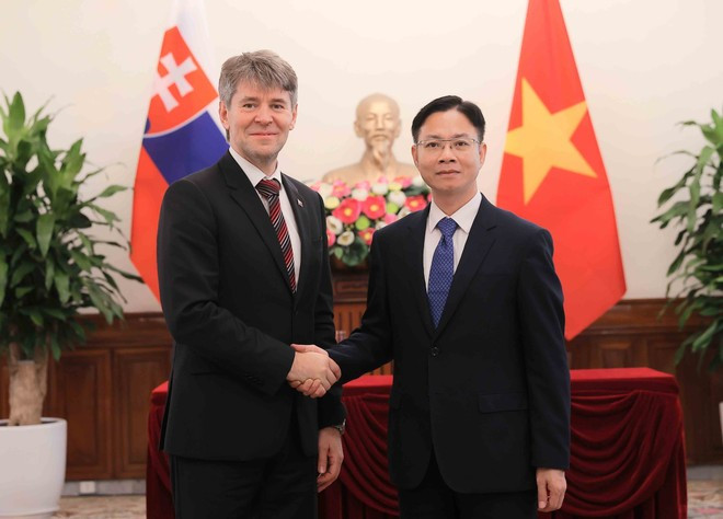 El viceministro vietnamita de Relaciones Exteriores Ngo Le Van (derecha) recibe al secretario de Estado del Ministerio de Asuntos Exteriores y Europeos de Eslovaquia, Marek Estok. (Foto: VNA) El viceministro vietnamita de Relaciones Exteriores Ngo Le Van (derecha) recibe al secretario de Estado del Ministerio de Asuntos Exteriores y Europeos de Eslovaquia, Marek Estok. (Foto: VNA)