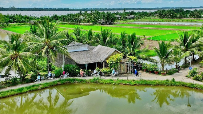 Espacio verde en el sitio turístico comunitario de Con Chim. (Foto: VNA) Espacio verde en el sitio turístico comunitario de Con Chim. (Foto: VNA)