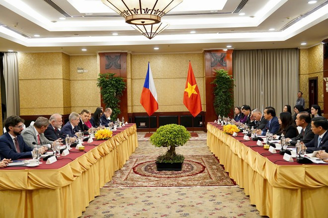 Panorama de la cita (Foto: nld.com.vn)