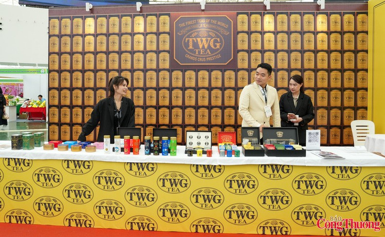 Muchas marcas de té negro reconocidas a nivel mundial concurren a la exposición.