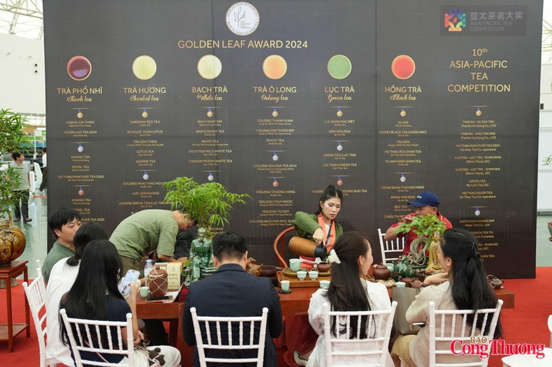 Los amantes del té pueden disfrutar de las variedades de té más destacadas de Vietnam.