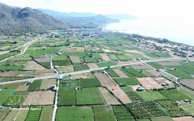 La central nuclear Ninh Thuan 2 se prevé construir en la aldea Thai An, comuna de Vinh Hai, distrito de Ninh Hai. (Foto: VNA)
