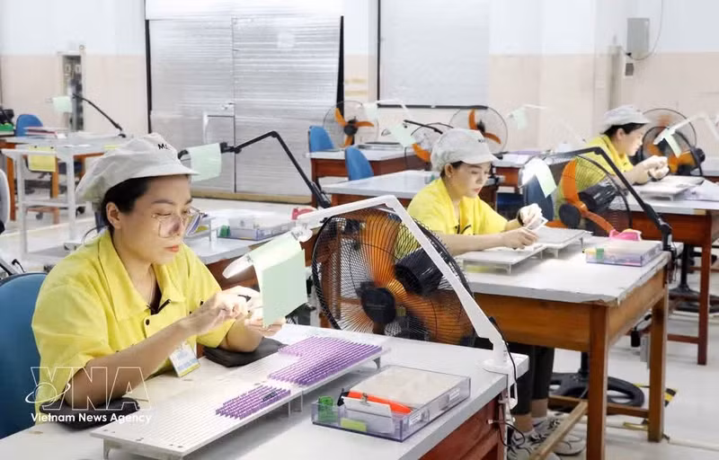 La empresa MANI Hanoi Co., Ltd., ubicada en el barrio residencial de Vang, en la comuna de Van Xuan, provincia de Thai Nguyen, es una compañía de capital íntegramente extranjero. (Foto: VNA)