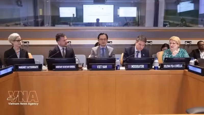 El embajador Do Hung Viet, representante permanente de Vietnam ante la ONU, preside el seminario (Fuente: VNA)