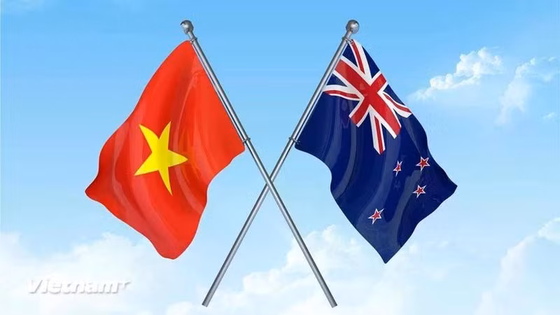 Vietnam envía felicitaciones a Nueva Zelanda por el 50º aniversario de nexos diplomáticos bilaterales