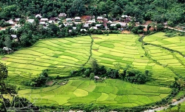 En la Reserva Natural de Pu Luong. (Fuente: vietnam.vnanet.vn)