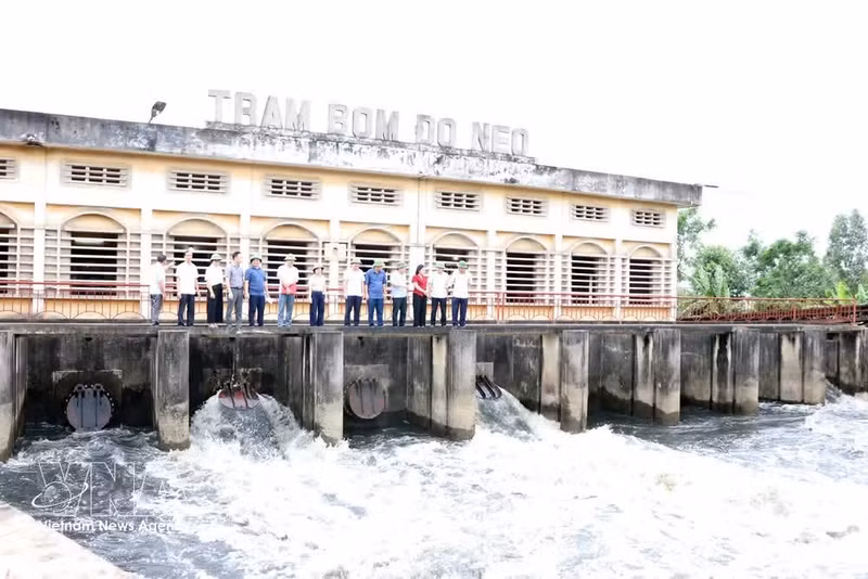 Funcionarios del Departamento de Agricultura y Medio Ambiente de Hai Phong inspeccionan la preparación del sistema de drenaje de inundaciones en la estación de bombeo de Do Neo, comuna de Dai Son. (Foto: VNA)