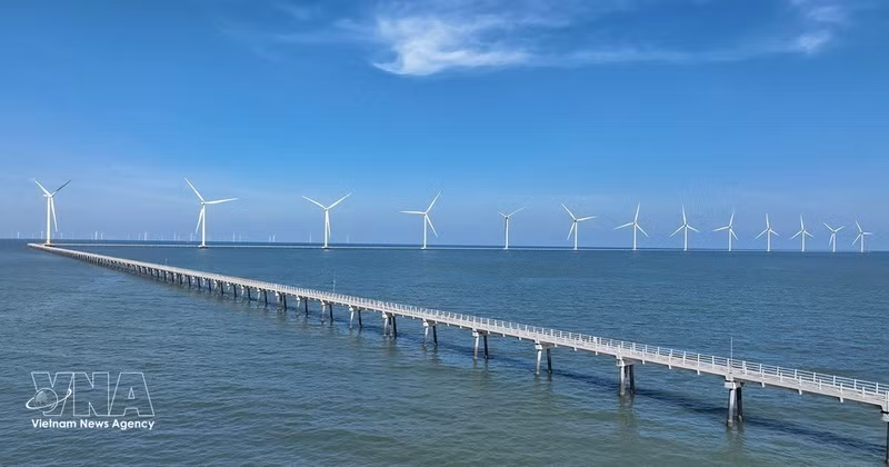 La central eólica Hoa Binh 1 + 2, ubicada en la comuna de Vinh Hau, provincia de Ca Mau, produce aproximadamente 400 millones de kWh al año, contribuyendo a la seguridad energética nacional. (Foto: VNA)