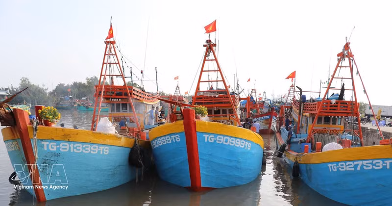 Provincia de Dong Thap refuerza control de flota pesquera para frenar pesca ilegal (Foto: VNA)
