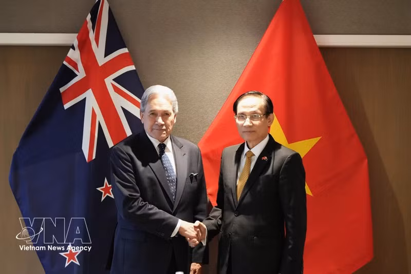 El ministro de Relaciones Exteriores de Vietnam, Le Hoai Trung (derecha), se reúne con su homólogo neozelandés, Winston Peters. (Foto: VNA)