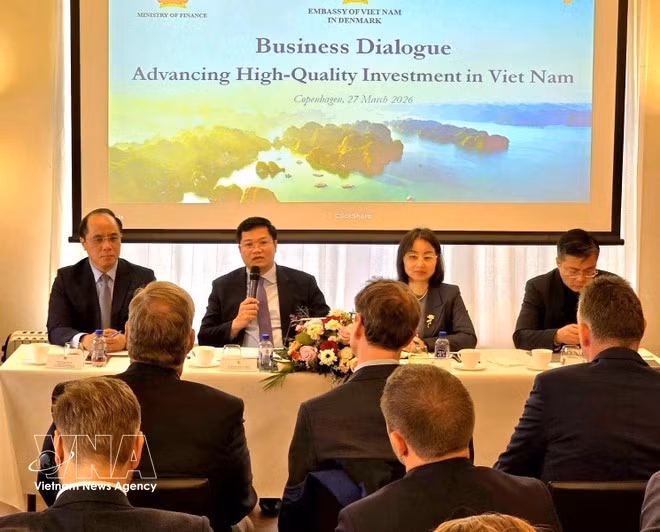 El viceministro del Ministerio de Finanzas Nguyen Duc Tam. (Fuente: VNA)