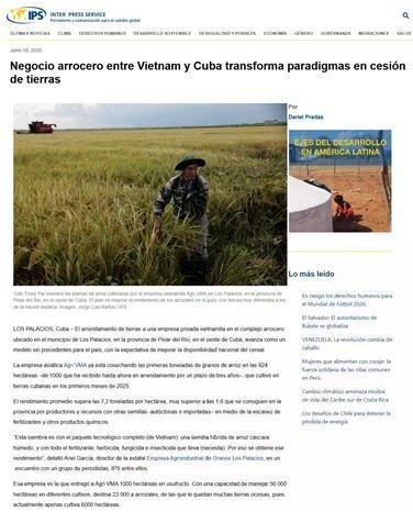 El artículo en la página de IPS (Fuente: VNA)