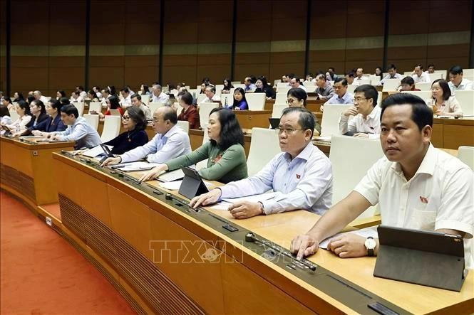 Los diputados votan para adoptar la resolución (Foto: VNA) 