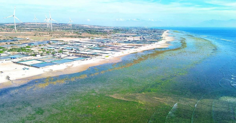 El distrito de Thuan Nam, provincia de Ninh Thuan, fue elegido como sede para la construcción de la central nuclear Ninh Thuan 1. (Foto: VNA) 
