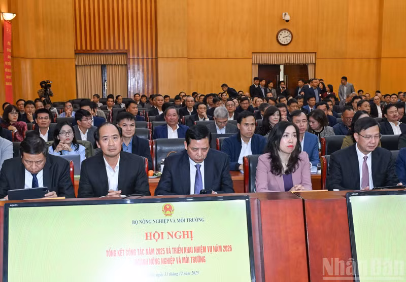 Asistentes al evento.