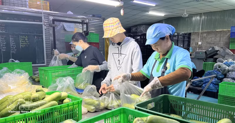 Vietnam apuesta por un crecimiento sostenible de las exportaciones agrícolas