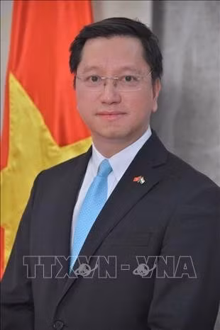 El embajador vietnamita en la India, concurrente en Bután y Nepal, Nguyen Thanh Hai. (Fuente: VNA)