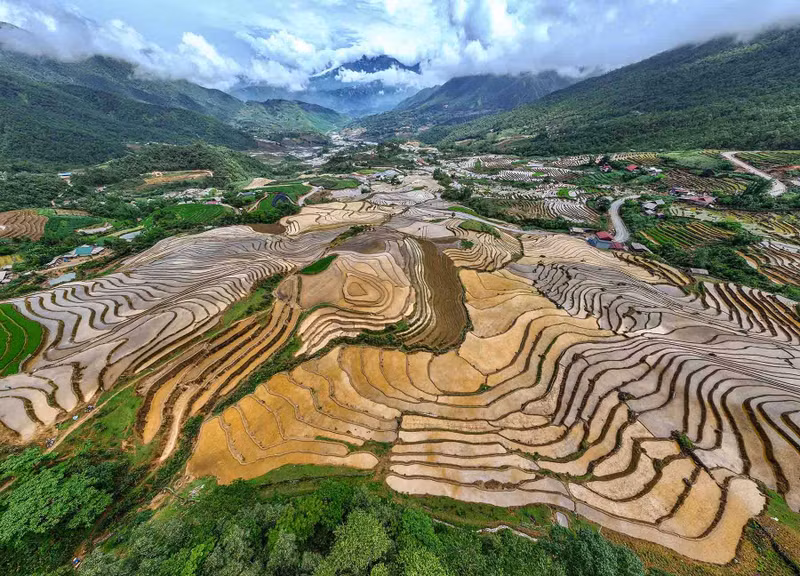 Bajo el soleado amanecer, los campos inundados que reflejan la imagen de los agricultores trabajando causan una profunda impresión en los turistas.