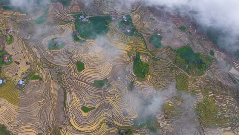 Además de disfrutar de la belleza de los campos de arroz en terrazas y sumergirse en la naturaleza, los turistas también pueden conocer la cultura y las festividades de los pueblos montañosos.