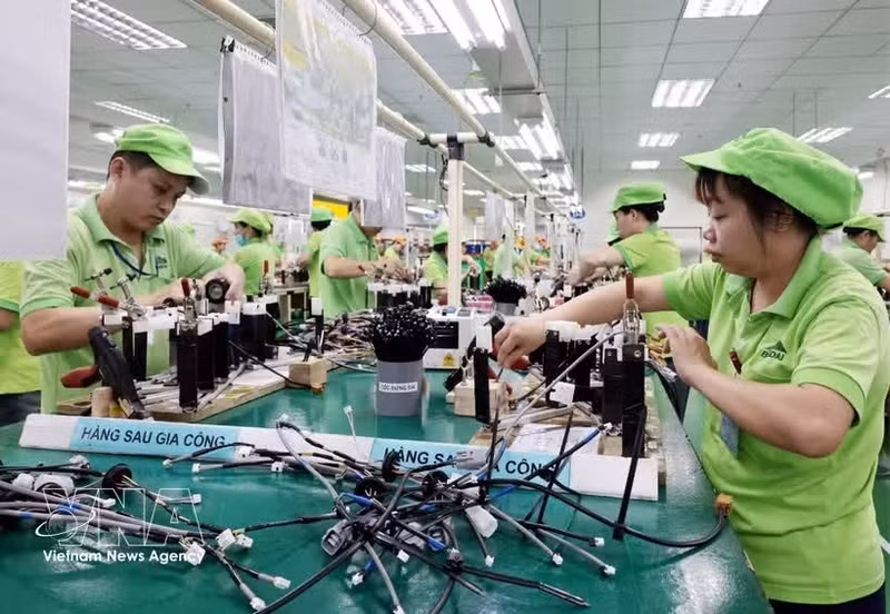 Línea de producción de cables eléctricos en Bandai Vietnam Co., Ltd., en el Parque Industrial Bo Trai, en el distrito de Hoa Binh, provincia de Phu Tho. (Foto: VNA)