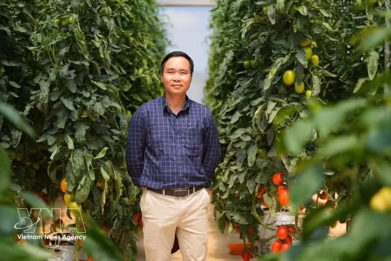 Dang Van Nien, director general de Rijk Zwaan Vietnam Co., Ltd. (Foto: VNA)