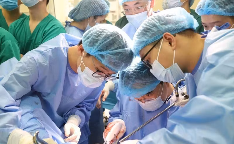 Los médicos realizaron una demostración quirúrgica en vivo. (Fuente: VNA)