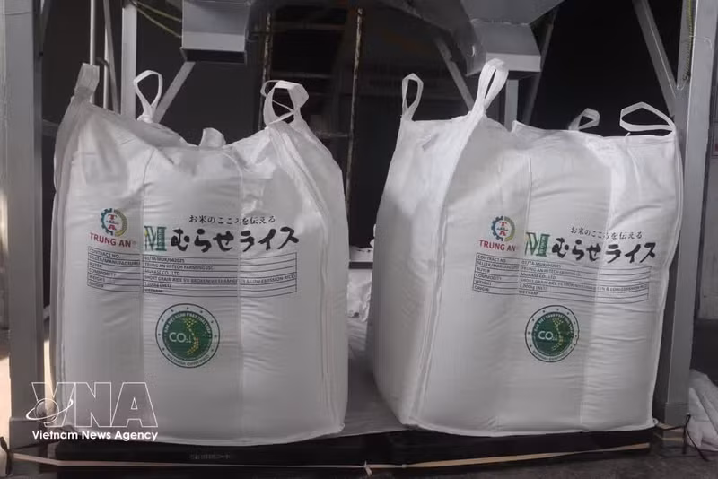 El lel 5 de junio de 2025, la Asociación de la Industria del Arroz de Vietnam (VIETRISA), en coordinación con la empresa de Agricultura de Alta Tecnología Trung An en la ciudad de Can Tho, envió el primer lote de 500 toneladas de grano con la marca "Arroz Verde y de Baja Emisión de Vietnam", a Japón. (Foto: VNA)