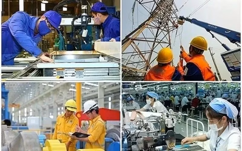 Foto de ilustración. (Fuente: cafef.vn)