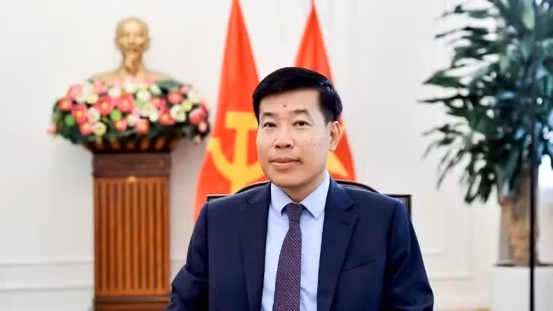 El viceministro de Relaciones Exteriores Nguyen Manh Cuong.