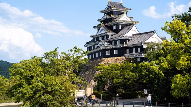 El Castillo de Okayama en Japón, uno de los destinos que atrae a los turistas vietnamitas. (Foto: VNA)