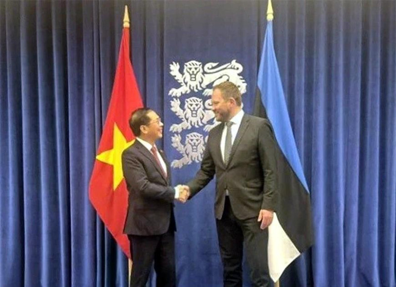 El viceprimer ministro y canciller de Vietnam, Bui Thanh Son, y el titular de Asuntos Exteriores de Estonia, Margus Tsahkna. (Fuente: VNA) 