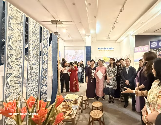 La exposición titulada “Sembrar lo verde en la cima de las nubes” (Foto: VNA)