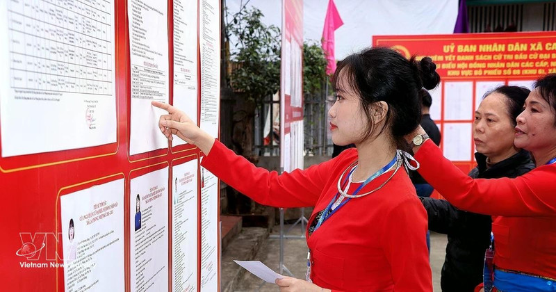 Los votantes de la minoría étnica Muong, que votan por primera vez, estudian detenidamente las biografías de sus candidatos. (Foto: VNA)